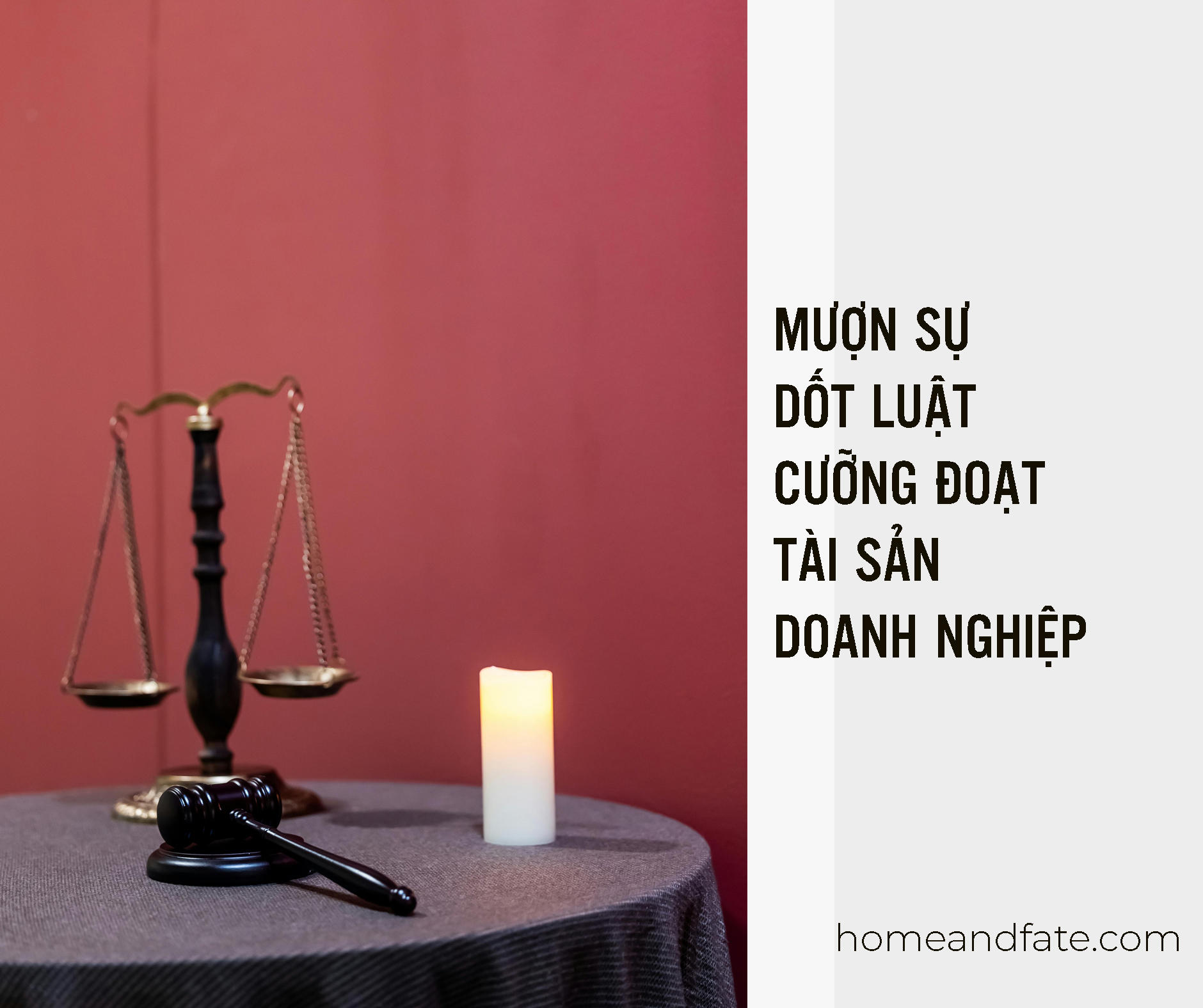 MƯỢN SỰ DỐT LUẬT CƯỠNG ĐOẠT TÀI SẢN DOANH NGHIỆP