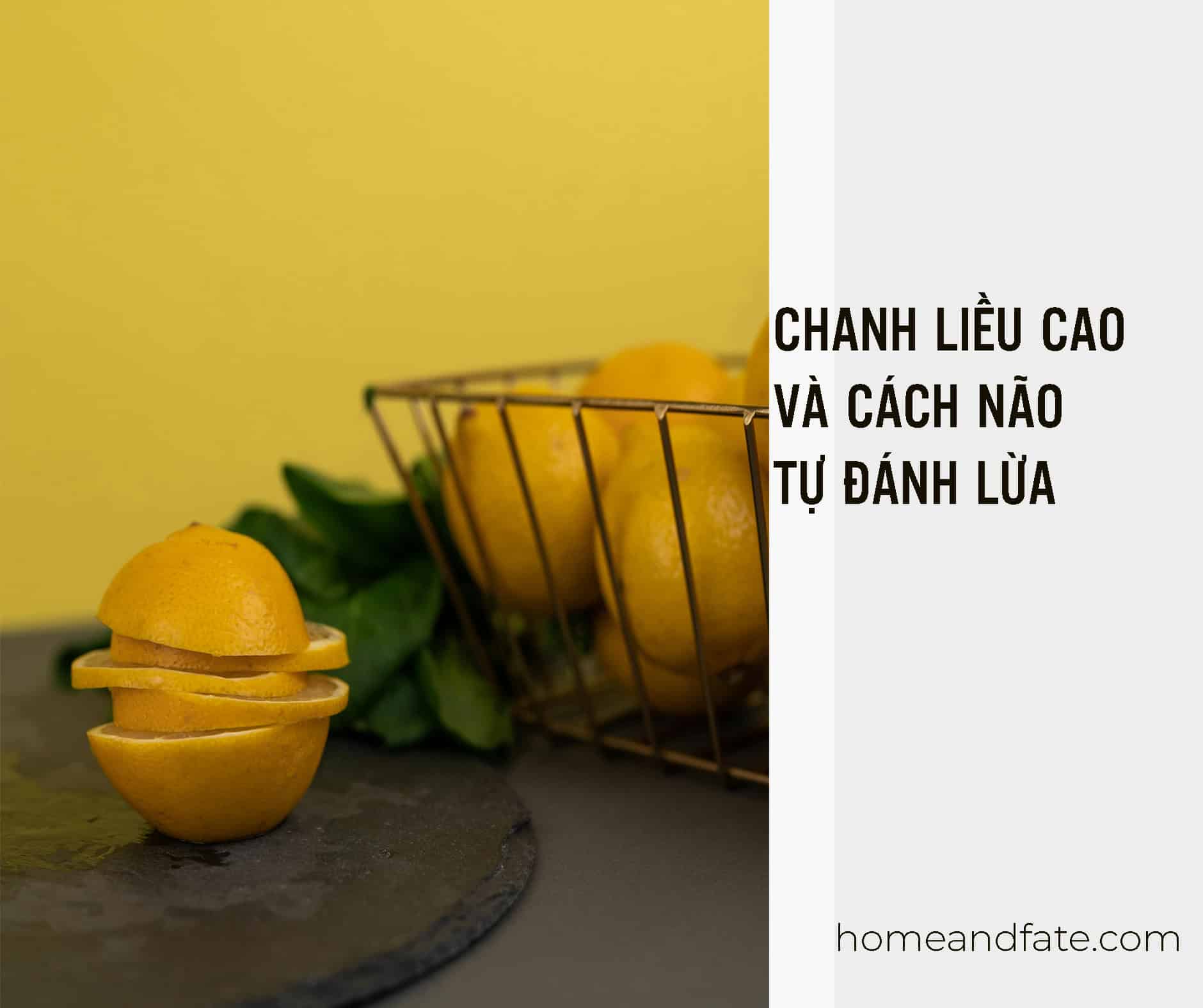 CHANH LIỀU CAO VÀ CÁCH NÃO TỰ ĐÁNH LỪA
